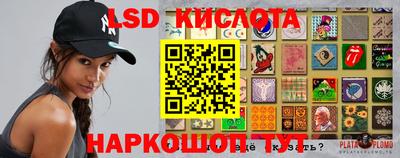 индика Донской