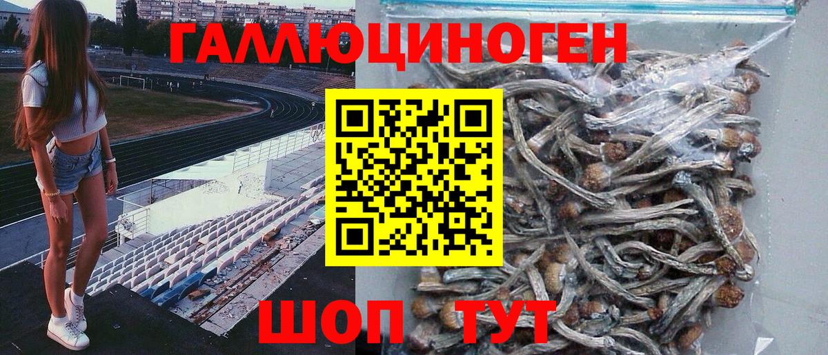 Псилоцибиновые грибы Magic Shrooms  Вход с VPN  Старая Русса  Галлюциногенные грибы мухоморы 